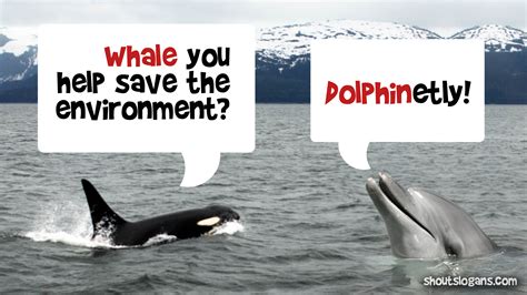 environmentalist meme|environmental humor.